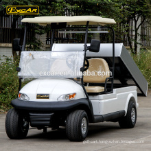 2 seater electric golf cart china mini buggy for sale club car golf buggy cart